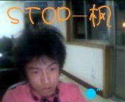 STOP-枫
